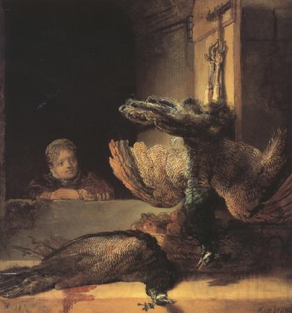 REMBRANDT Harmenszoon van Rijn Still life with two dead Peacocks and a Girl (mk33) Norge oil painting art